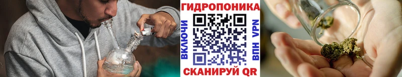 Каннабис OG Kush  мега ССЫЛКА  Тетюши 